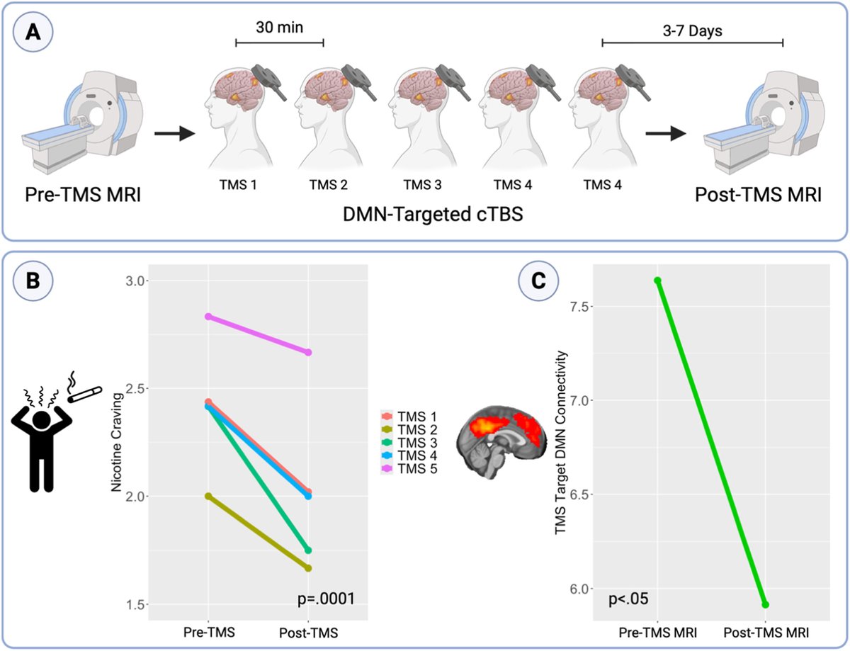Brain Stimulation tweet media
