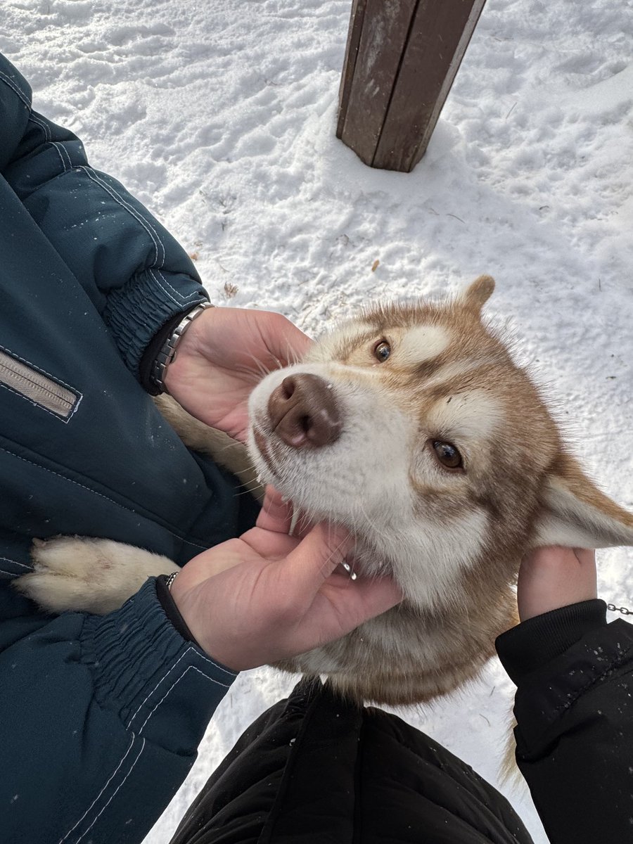 kujeyka's tweet photo. Абзаково. Хуй знает зачем я выкладываю их тут, но пусть будут... https://t.co/K0KOgIv4uN