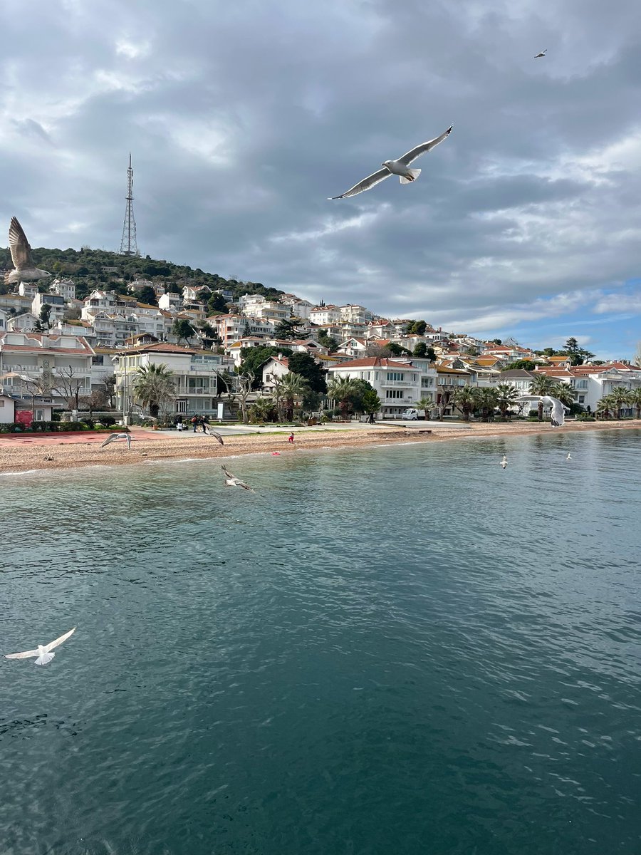 k (@fromtheworld145) on Twitter photo 