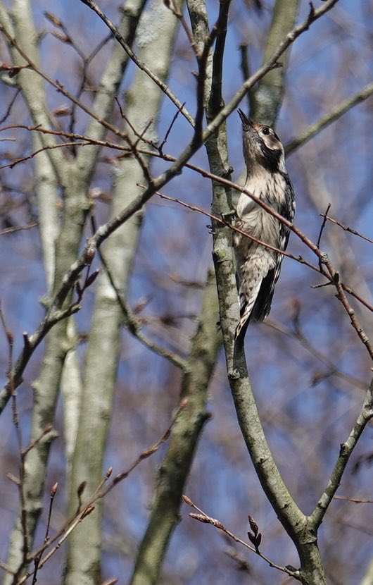 Stephen Message tweet media