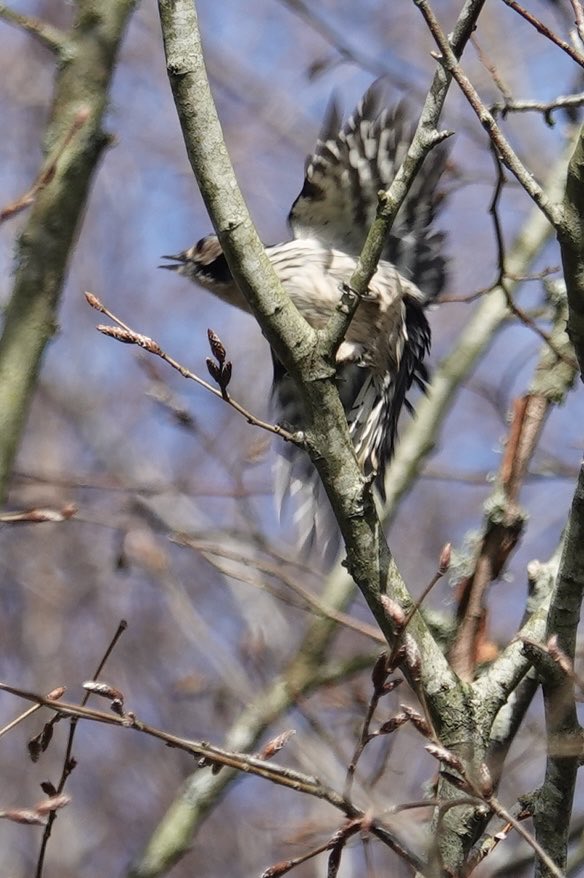 Stephen Message tweet media