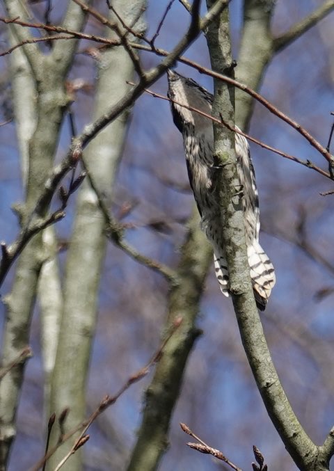 Stephen Message tweet media