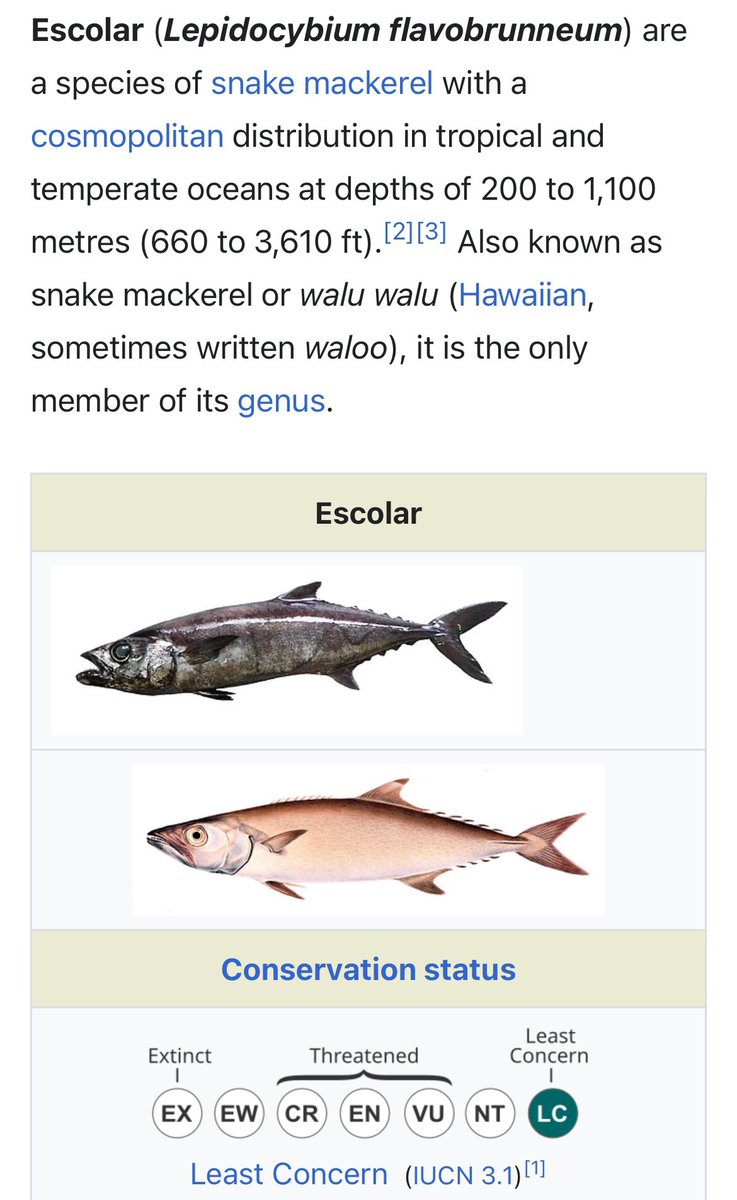dandelion georgism 🔰🏗 tweet media
