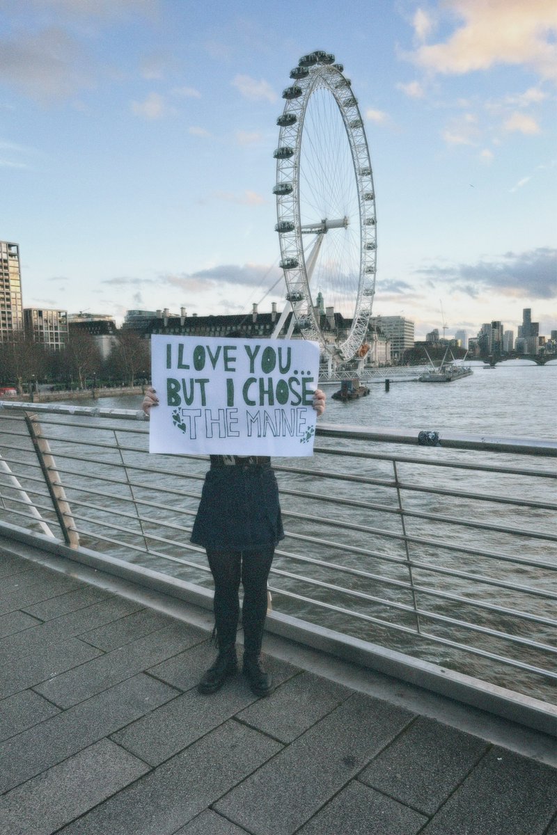 Roundhouse tweet media