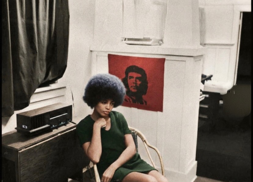 ❝In a racist society, it is not enough to be non-racist, we must be anti-racist.❞

— Angela Davis