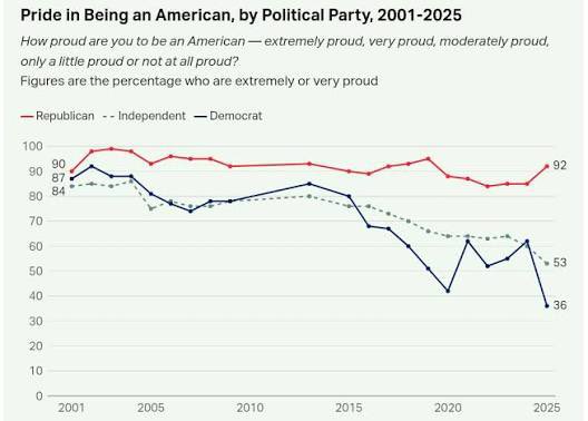 Will O'Grady tweet media