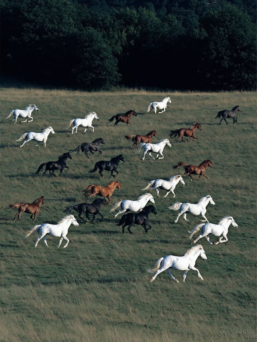 “Aniden gitmek muhteşem bir şeydir. Daha muhteşem olanı ise asla geri dönmemektir.”