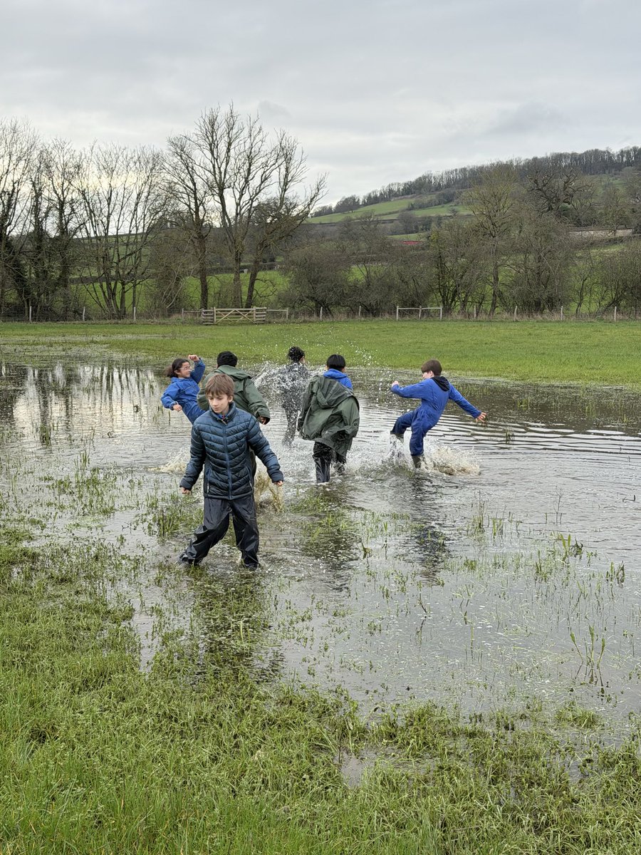 John Burns Primary tweet media