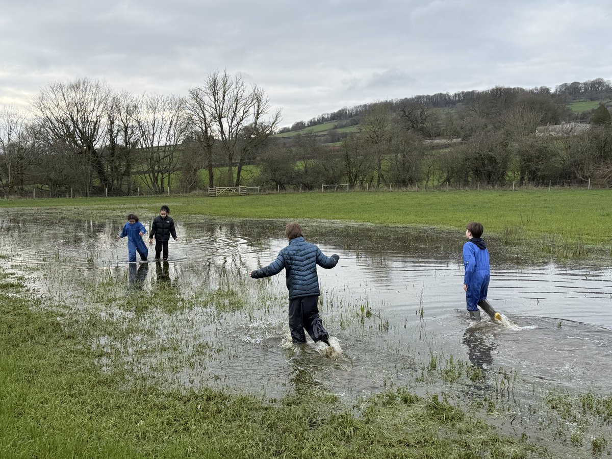 John Burns Primary tweet media