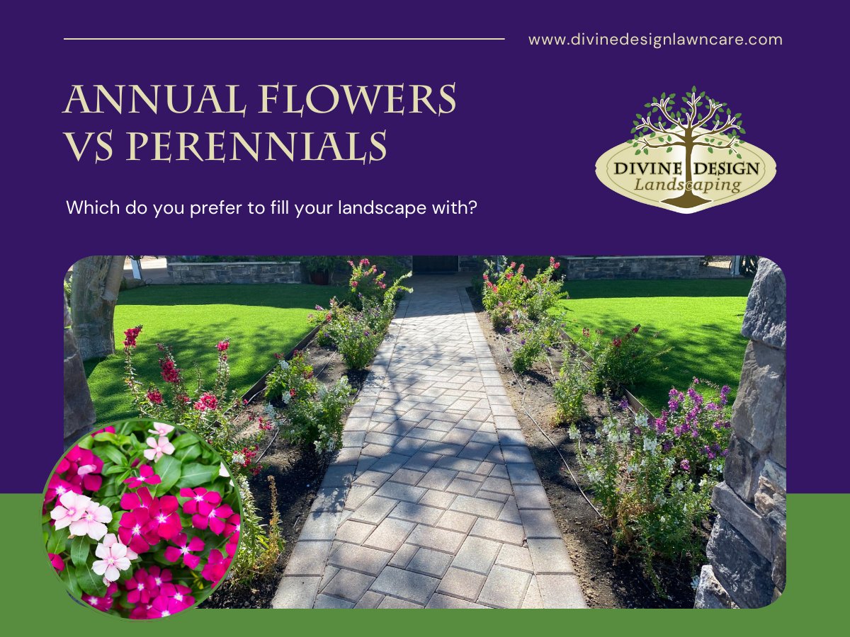 Divine Design Landscaping tweet media