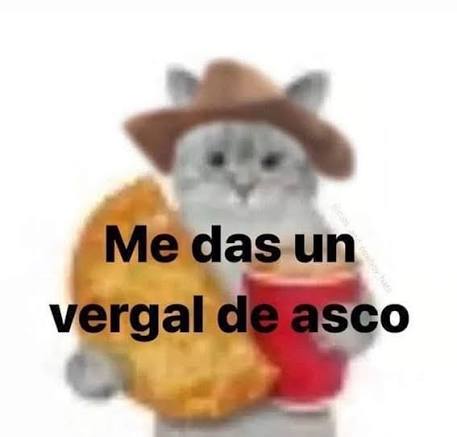Imagina tener 21 años y ligar niñas de 15 años diciéndoles que te vas a matar, luego traerlas a vivir contigo y presionarlas a tener relaciones.

(Normal que pipepunk esté borrando los vídeos de la época donde lo cuenta como si fuera humor)