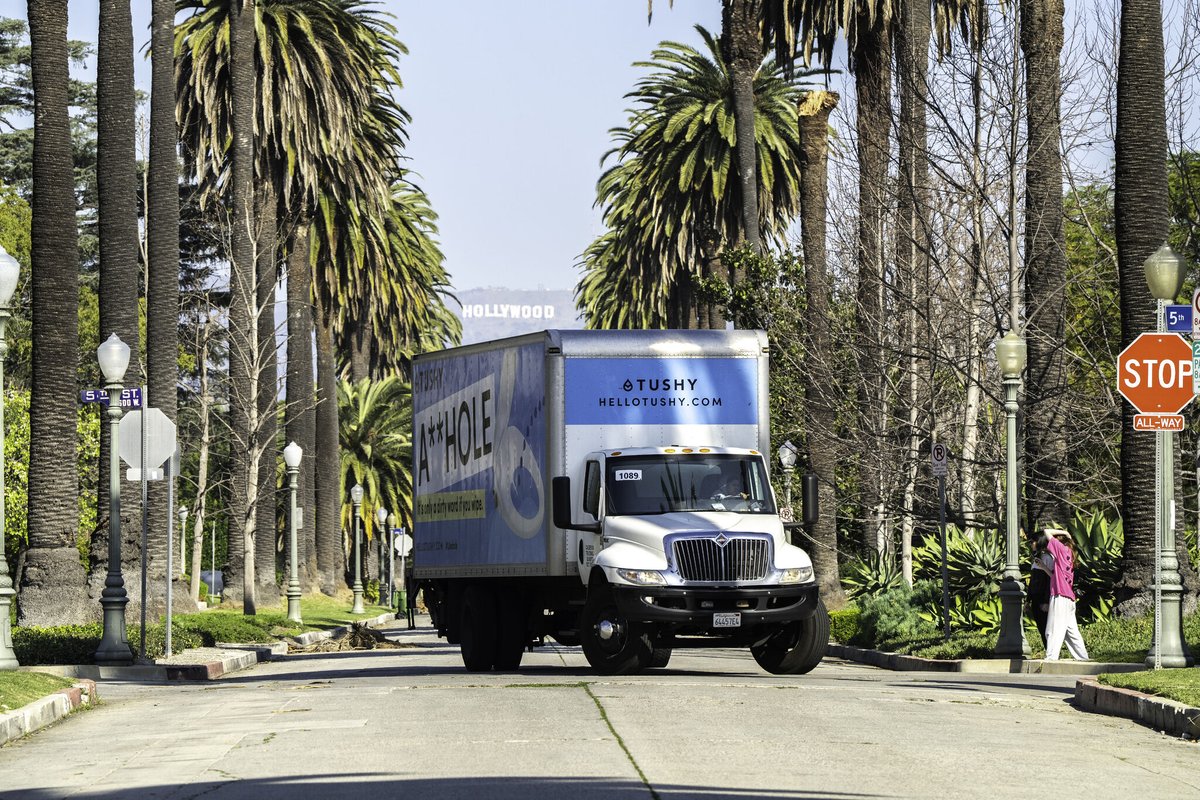 Tom Shea tweet media