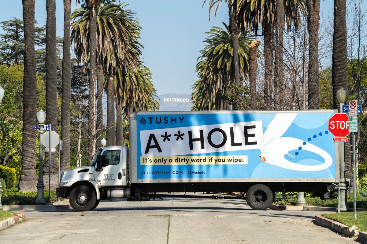 Tom Shea tweet media