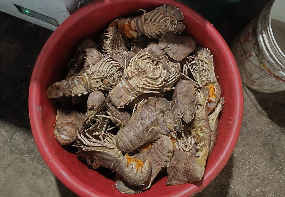 Only few can name this Gold.  Do not cheat