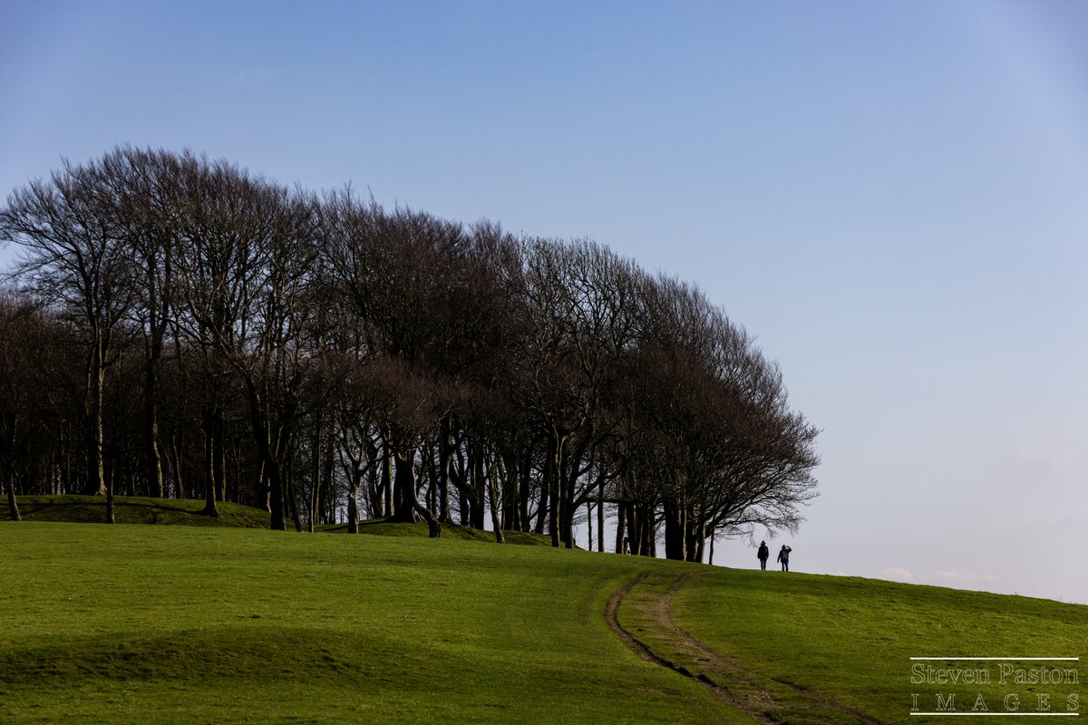 steven paston tweet media