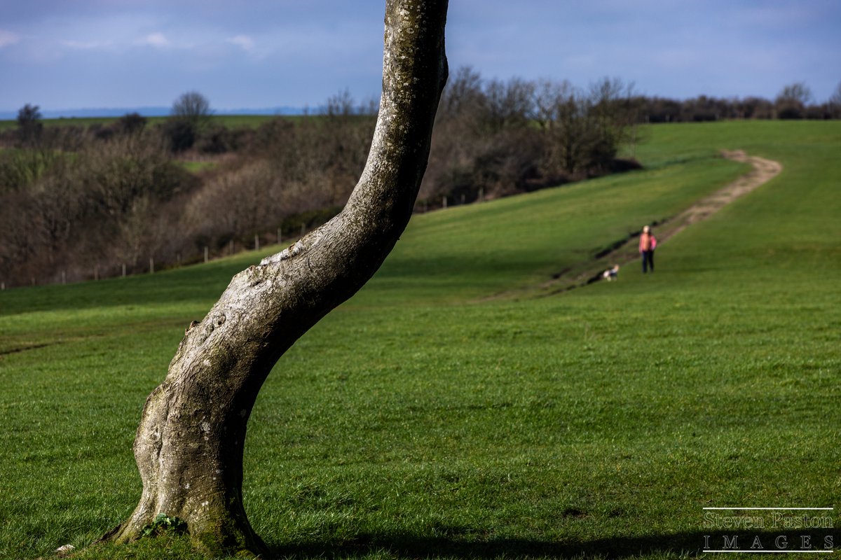 steven paston tweet media