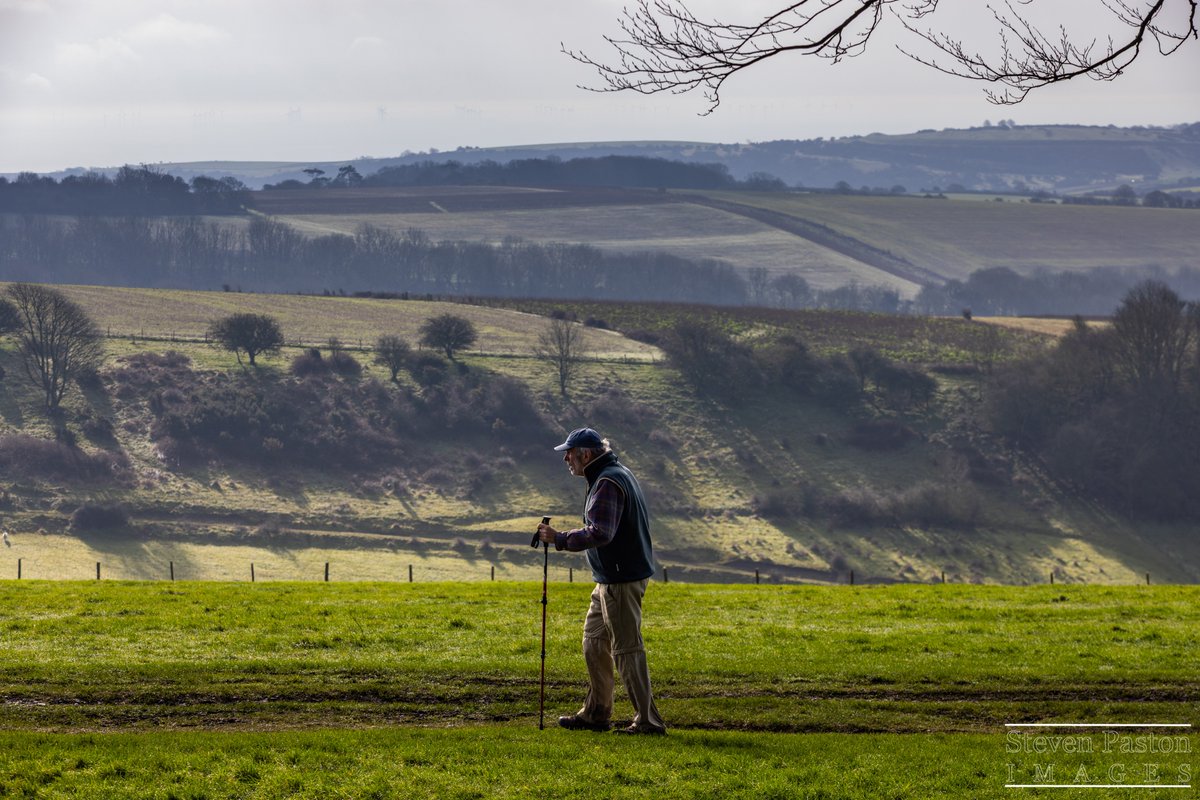 steven paston tweet media