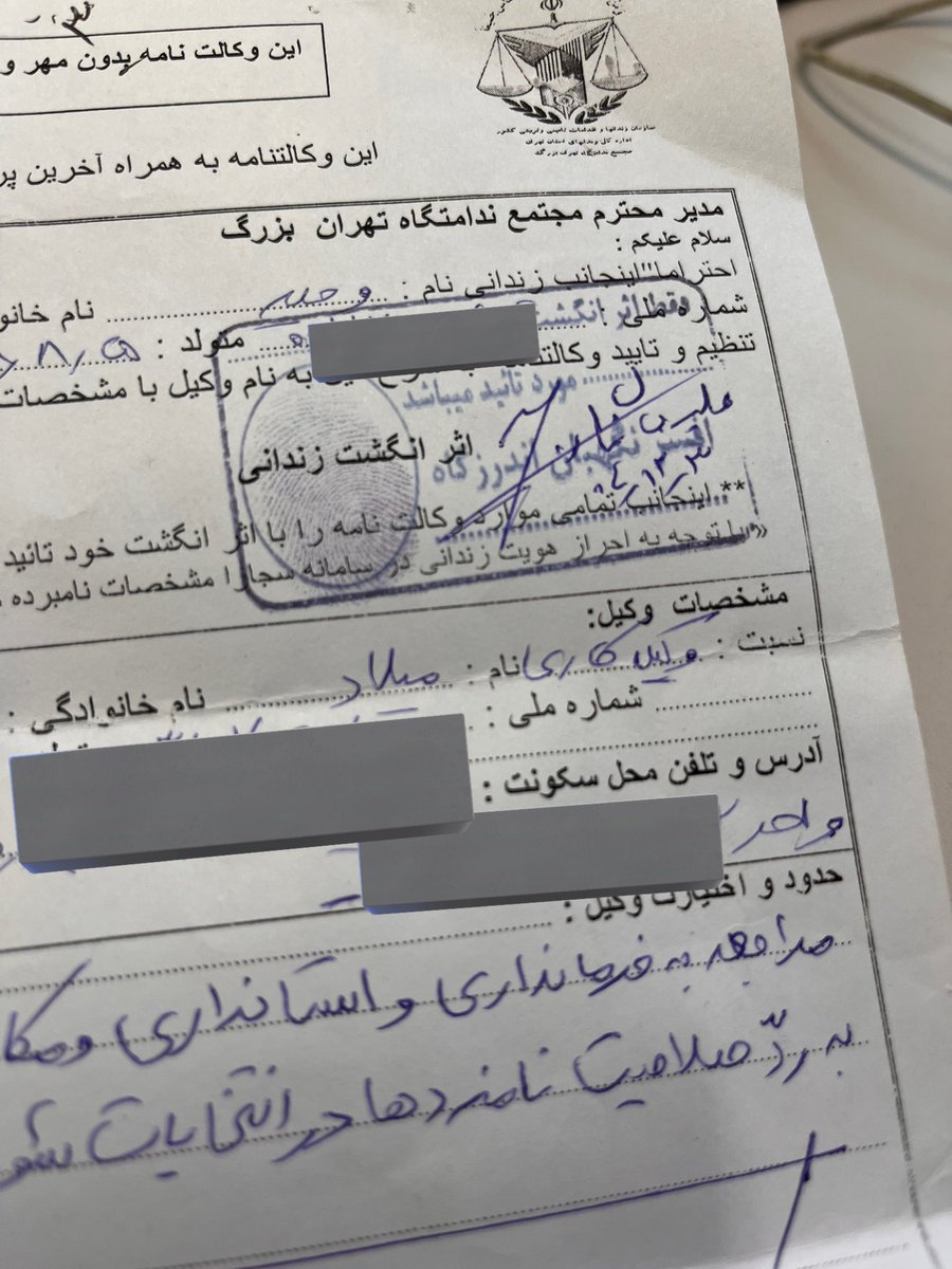 Milad Goodarzi | میلاد گودرزی tweet media