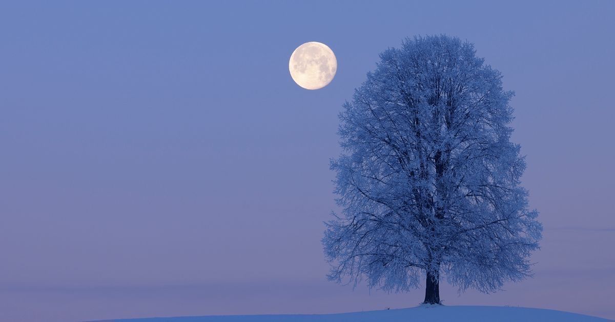 ballroom moon--
the clouds glide 
across the sky

~ 𝙻𝚊𝚏𝚌𝚊𝚍𝚒𝚘, <a href="/lafcadiopoetry/">𝙻𝚊𝚏𝚌𝚊𝚍𝚒𝚘 💙</a> // #Photography by Martin Rügner / ruegner-photography.de IG: @martinruegner_photography #haiku #vss365 #micropoetry