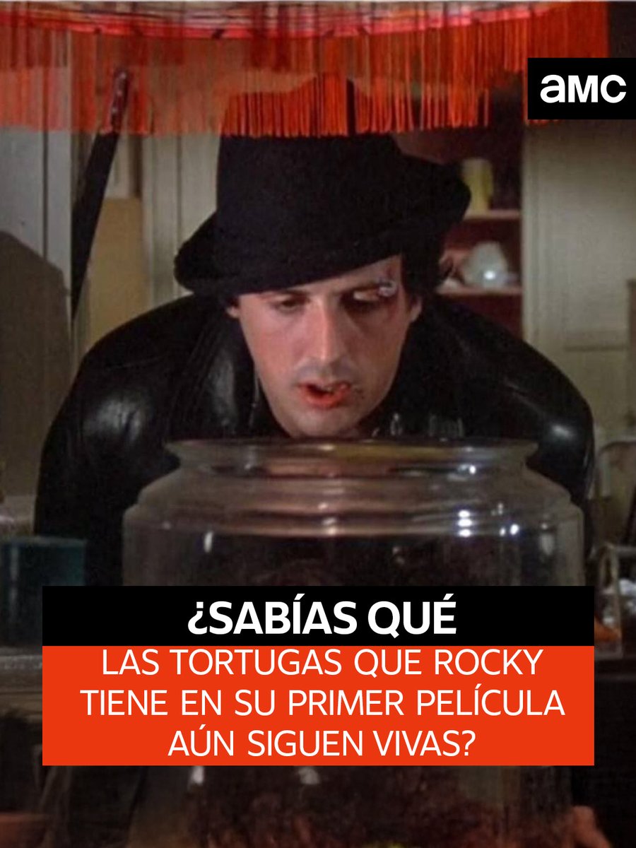 amctv_la's tweet photo. ¿Tú sabías este dato?
🎬 Rocky Balboa
🗓️ Jueves 26
20h 🇦🇷 🇨🇱 🇲🇽 - 18h 🇨🇴
#AMC #AMCTV #AMCMovies https://t.co/CTyiY4ZETn
