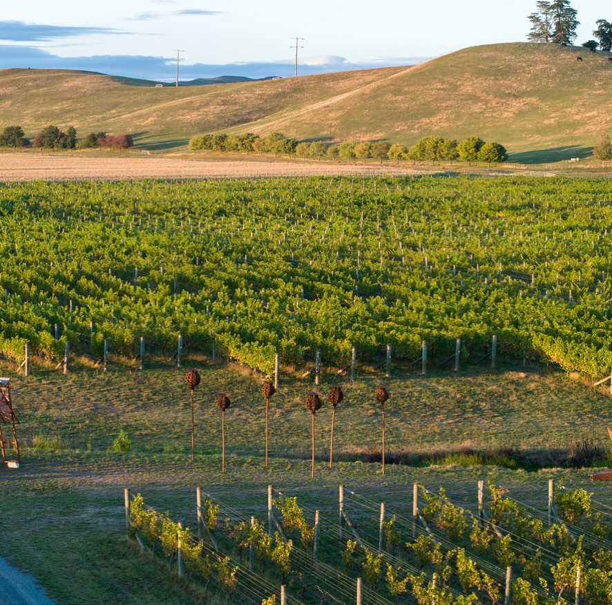 HawkesBay_Wine's tweet photo. The hugely popular Bridge Pa Sculpture Trail starts today! 

Hosted at Paritua, it includes a new collection of outdoor installations from leading New Zealand sculptors. Explore the trail at your own pace, enjoy wine tastings or a glass on the lawn, build your own picnic platter, and stay for live music on Saturdays.

All proceeds support Arts Inc. Heretaunga and their work to keep creativity accessible for our community.

📅  Running 26 February - 22 March
🎫  Purchase tickets: https://t.co/O2LZJvUiJl

#HawkesBayWine #BridgePaSculptureTrail #GreatWineCapitals