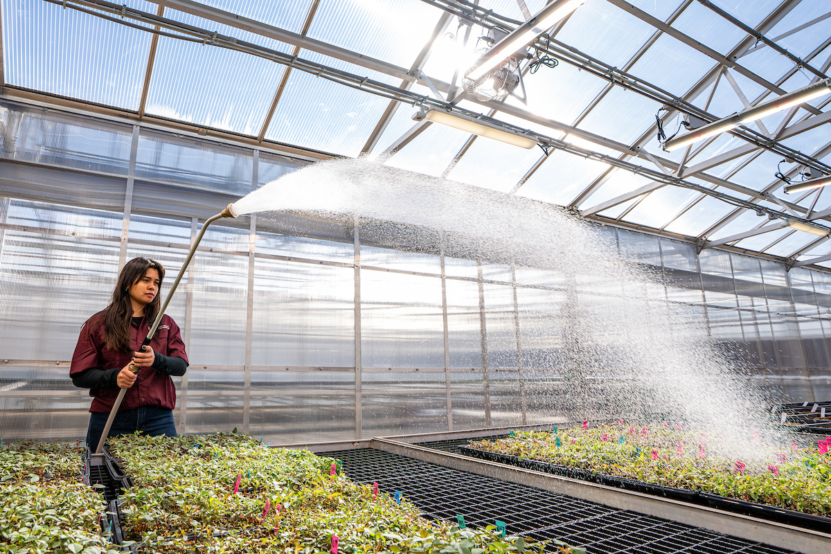 Texas A&M AgriLife Research tweet media