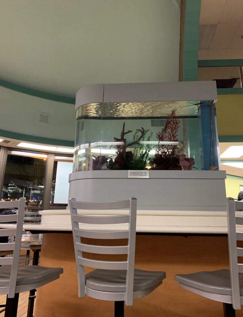 Justin🦩Boldaji tweet media