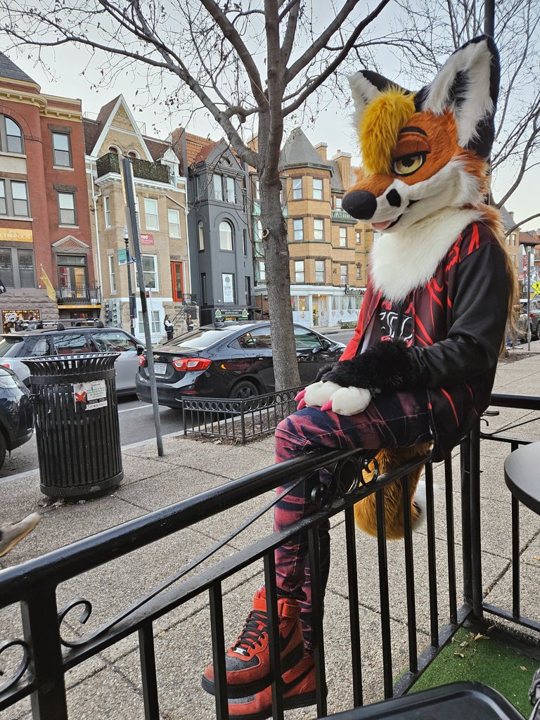 ShadowFox tweet media