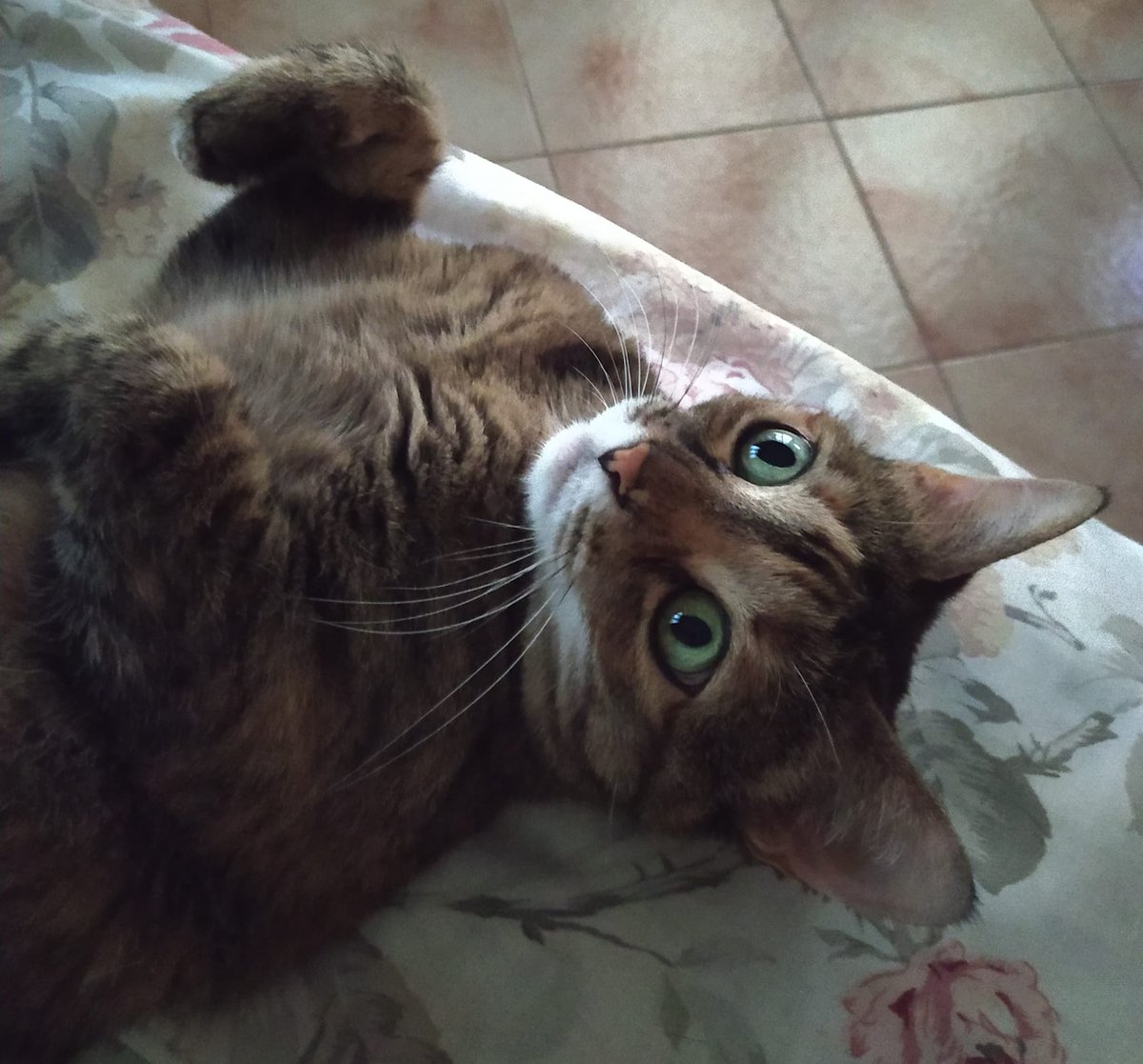 @ferrarisergio4 tweet media