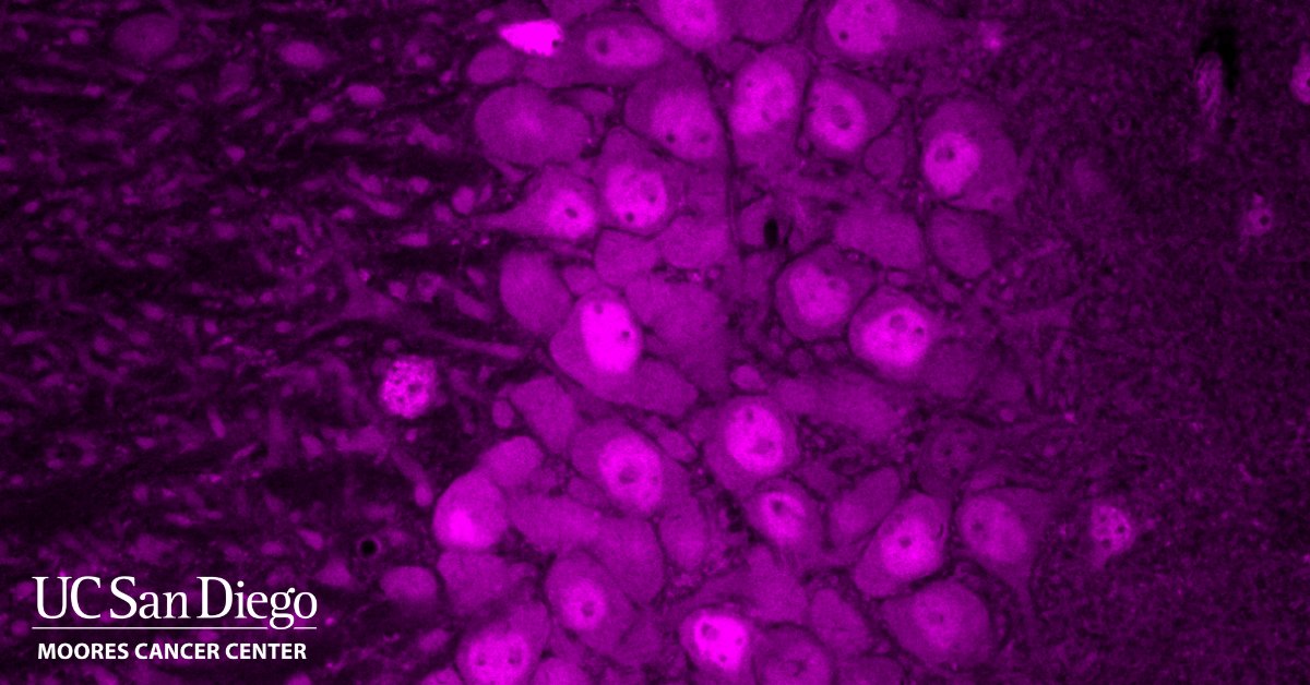 UC San Diego Health Moores Cancer Center tweet media