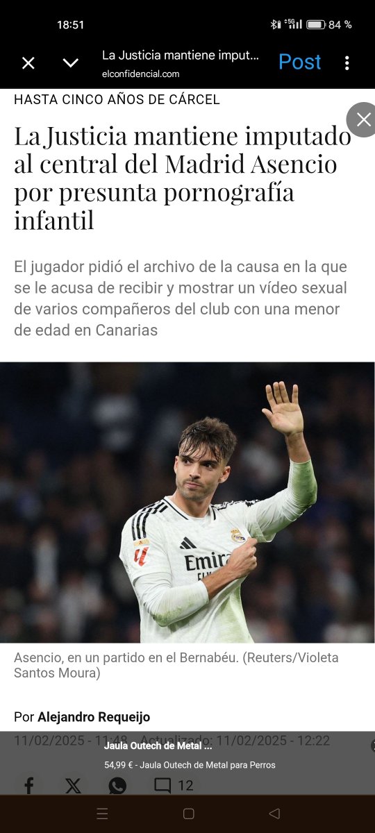 Ivan (Mr. Mapache) tweet media