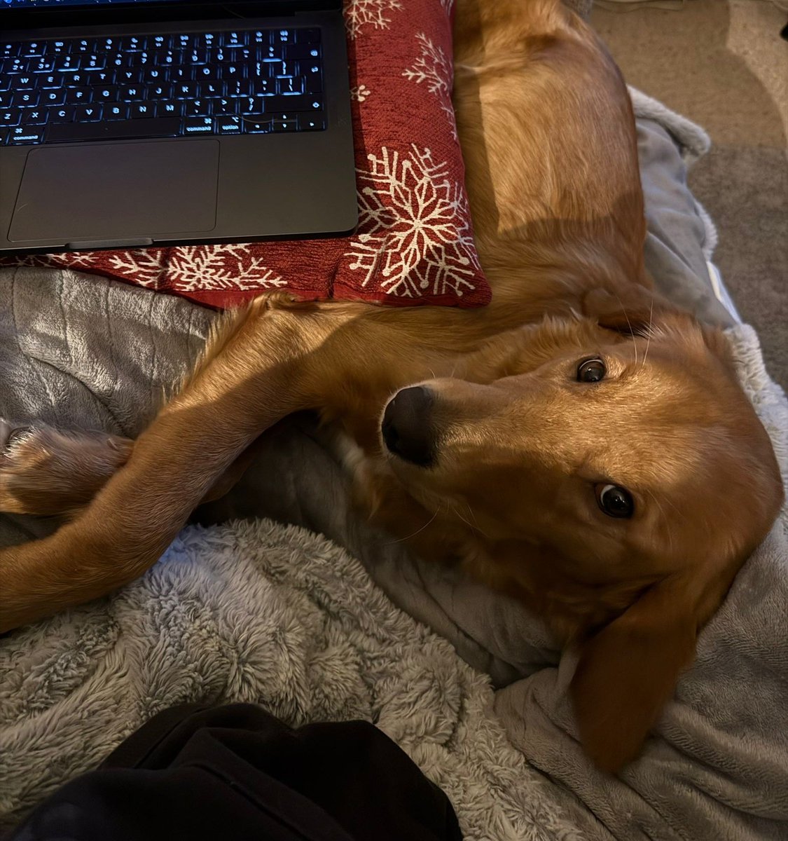 abi 🍄 tweet media