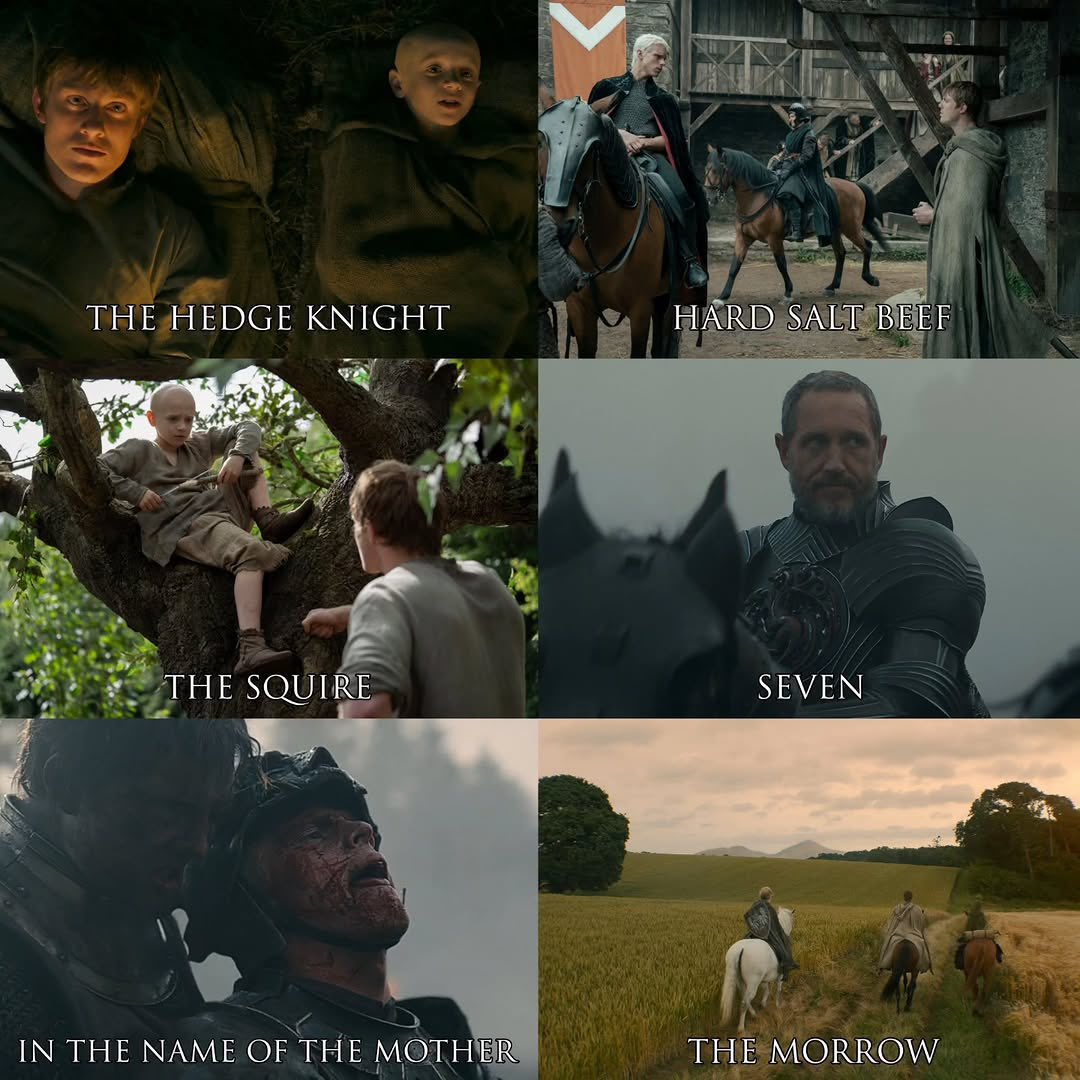 westerosies tweet media