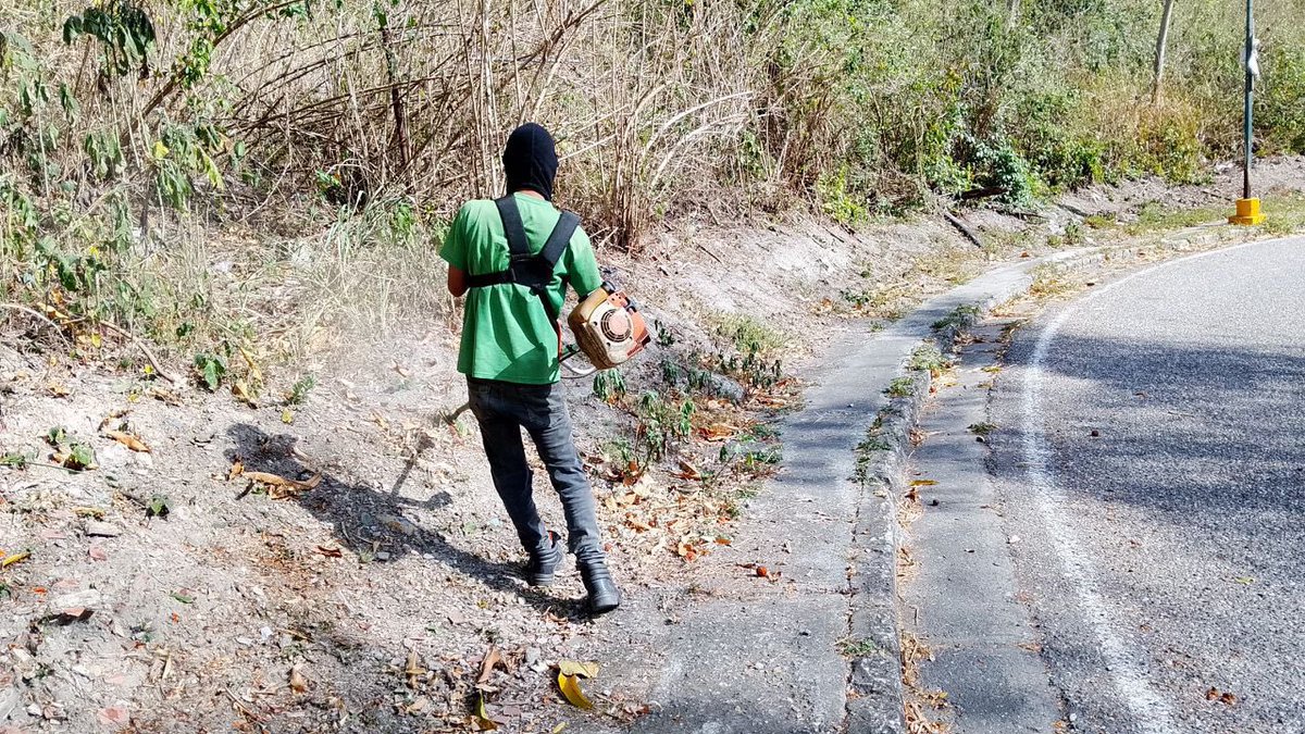 AlcaldiaBaruta's tweet photo. Las cuadrillas de #ÁreasVerdes🍃se encuentran realizando labores de:
🍃Desmalezado:
📍Urb. #LaTrinidad
📍Urb. #LaBonita
📍Urb. #ColinasDeValleArriba
¡Trabajamos por tu calidad de vida! https://t.co/LHU8VpoXUq