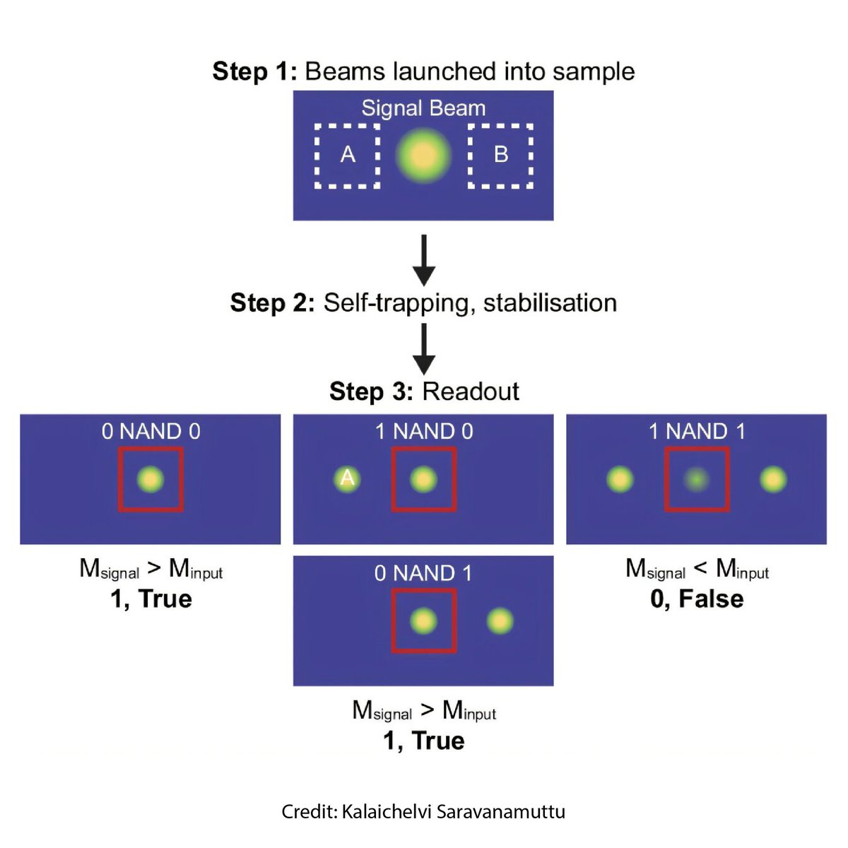 American Elements tweet media