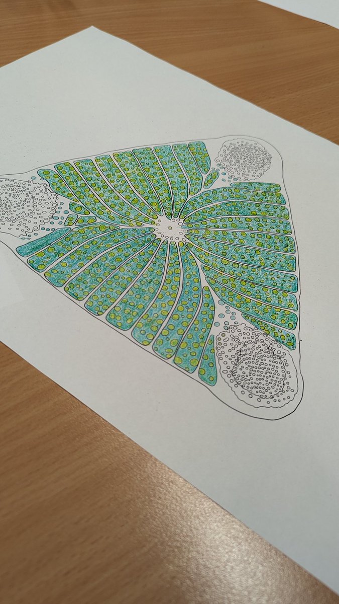 Jennifer Delaney tweet media