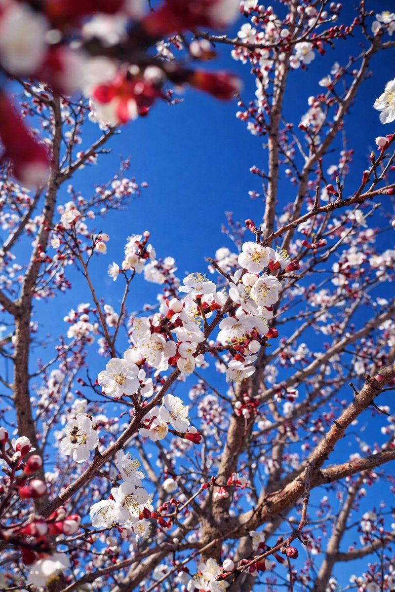 W🇦🇶🛰️ tweet media