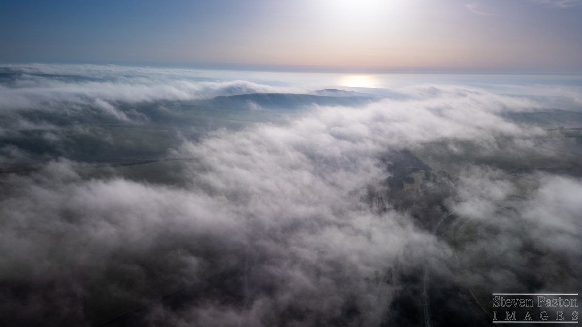 steven paston tweet media