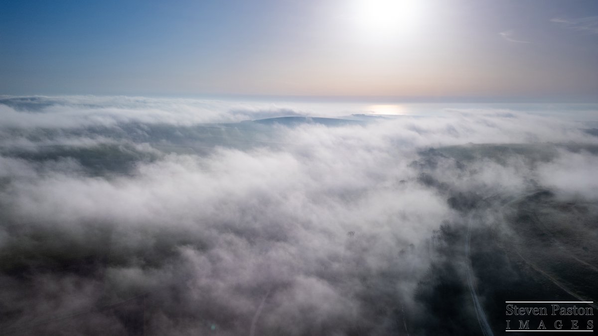 steven paston tweet media