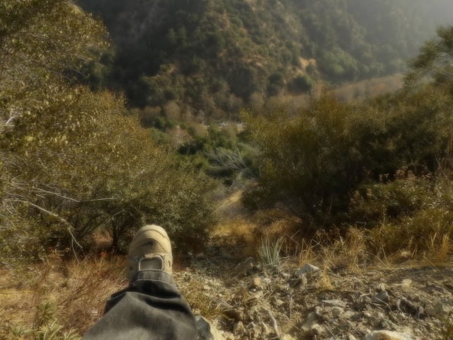 SF INVESTIGATES • STEVE FISCHER tweet media