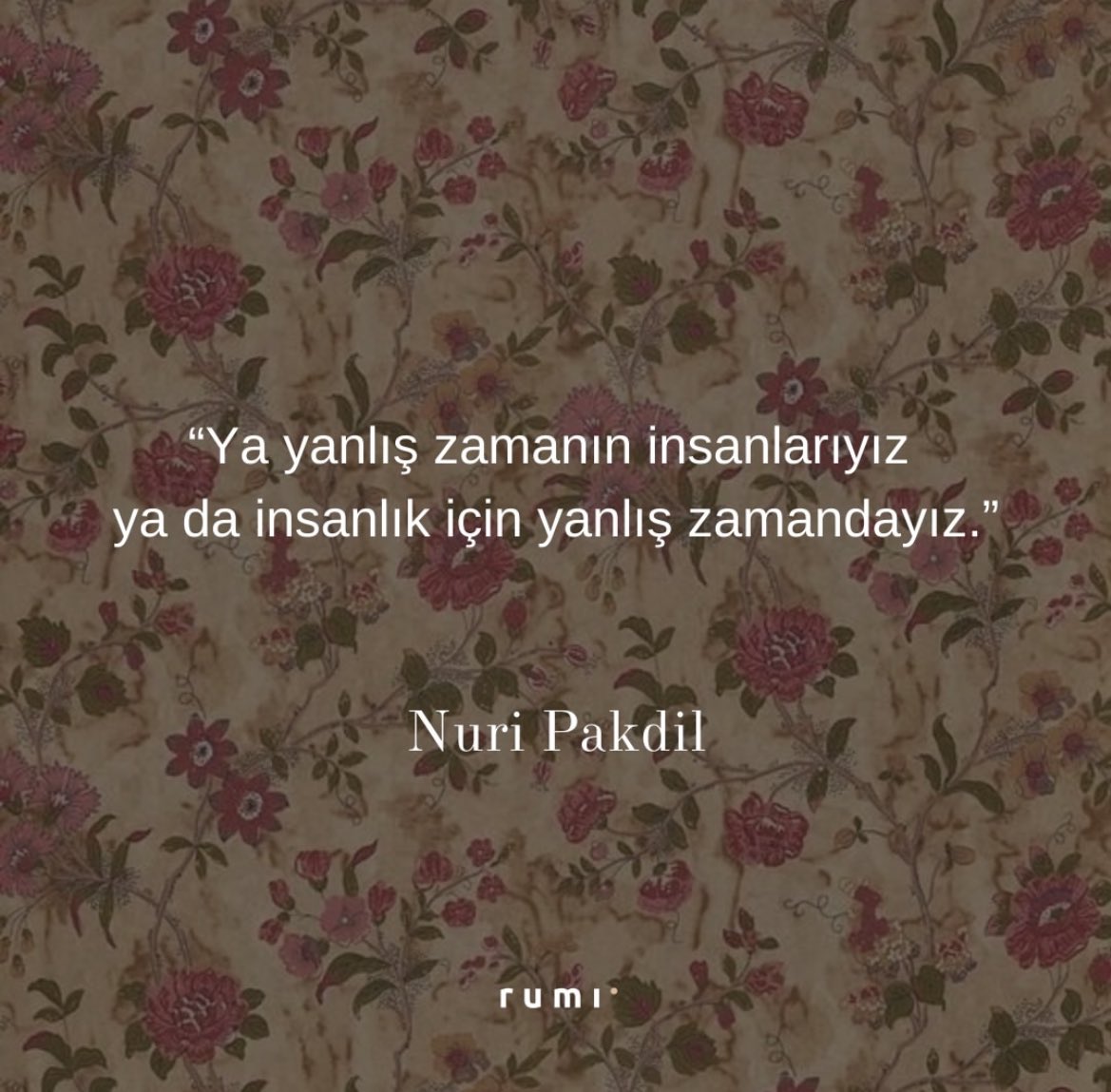 Edebiyat Cephesi (@edebiyatcephesi) on Twitter photo 