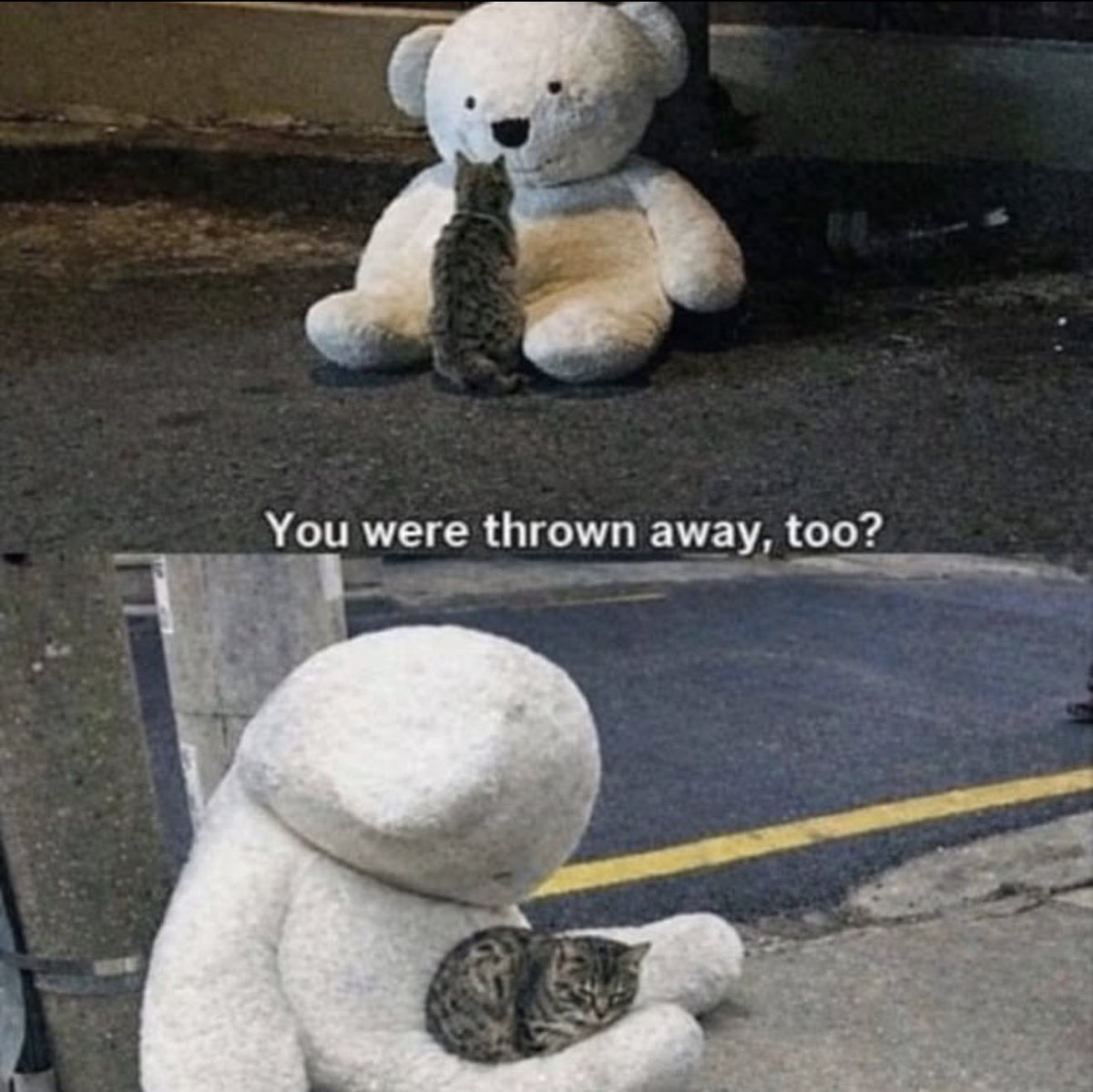 Antidepressant Content tweet media