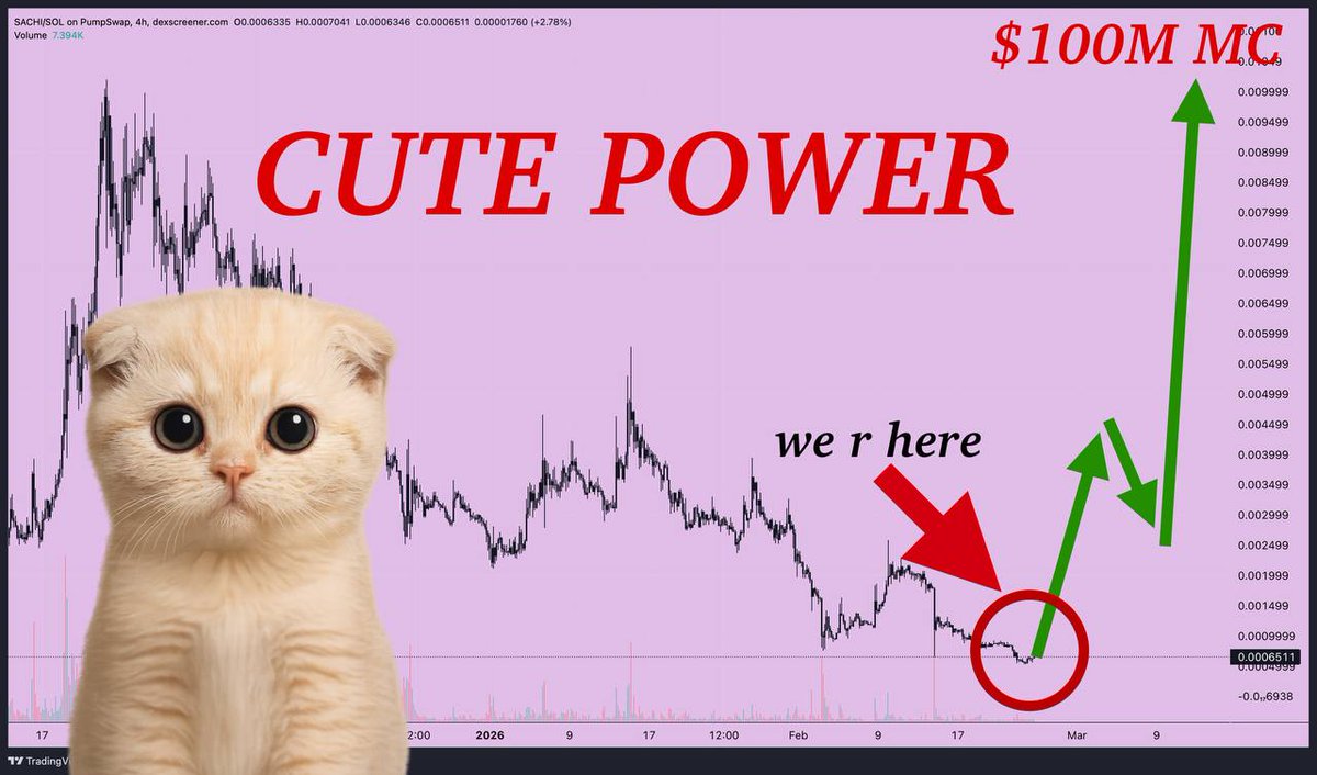 u still waiting for a “signal” while the best entries r quiet

$SACHI is the cute face with nasty intent

$SACHI to $100m mc is not a dream its a checklist

when $SACHI feels safe to buy its already too late