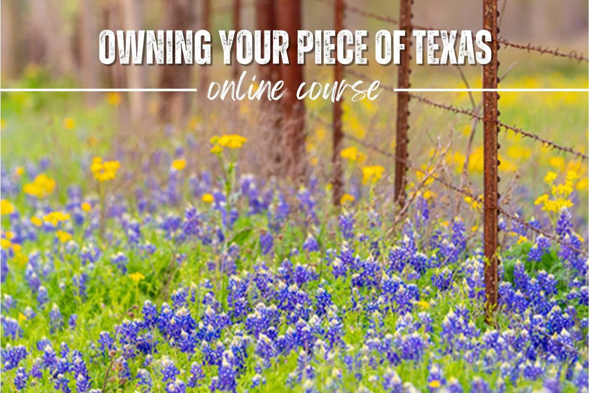 TiffanyDowellLashmet tweet media