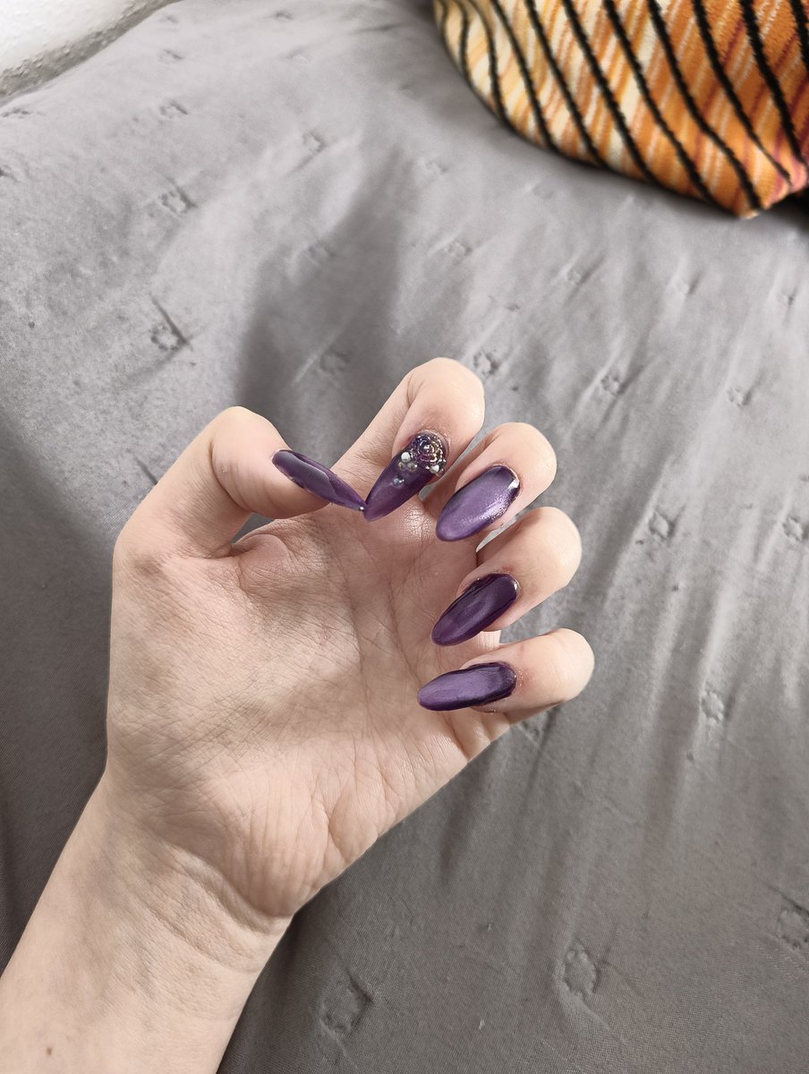 macskakert tweet media