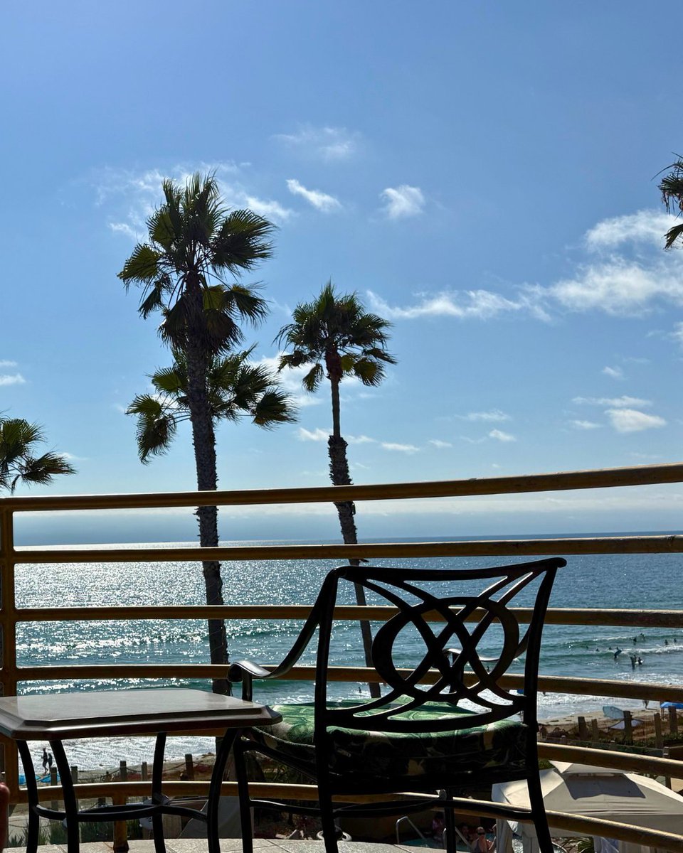 Pacific Terrace Hotel tweet media