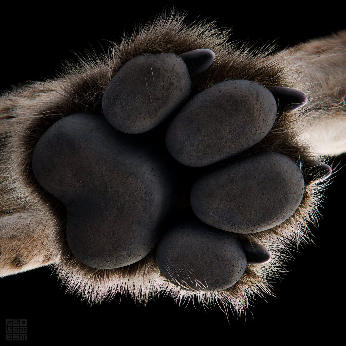 FlolfiestNight's tweet photo. Yeen paw https://t.co/EYCRct86i9