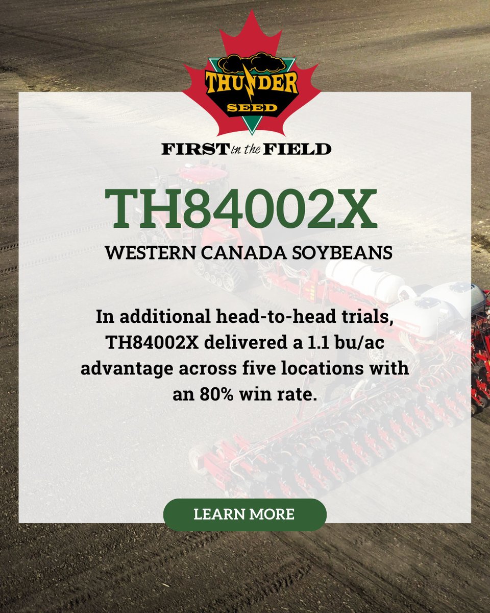 Thunder Seed tweet media