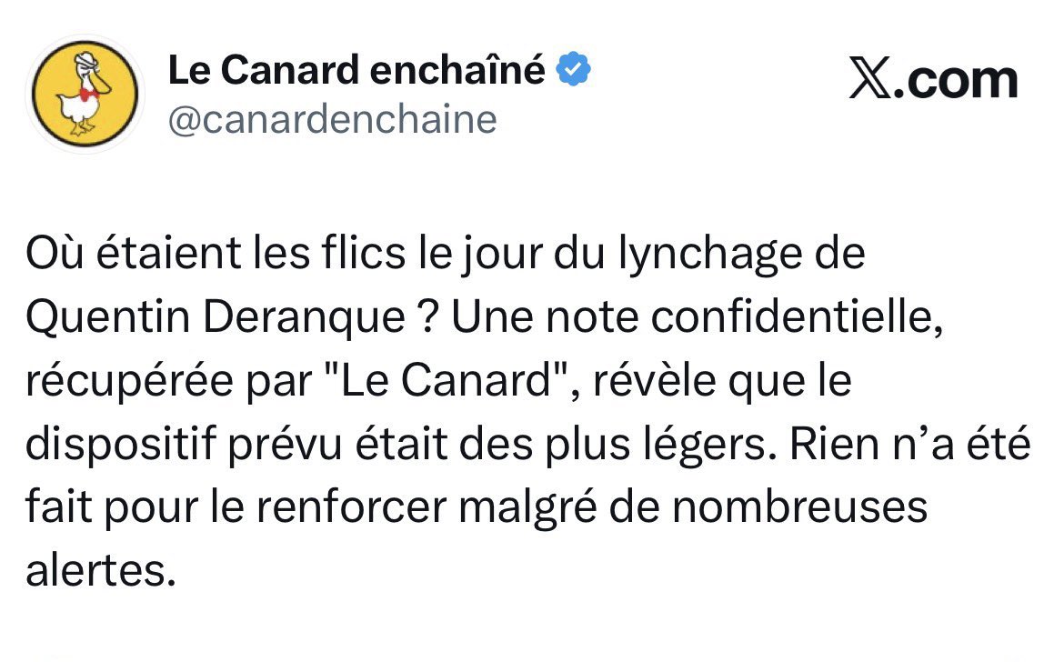 Rima Hassan tweet media