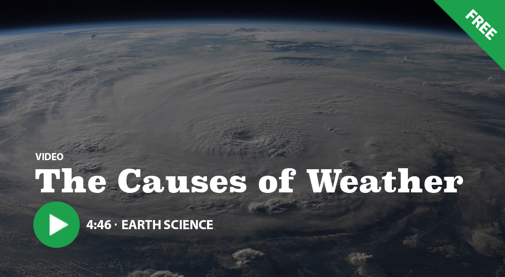 KIDS_DISCOVER tweet media